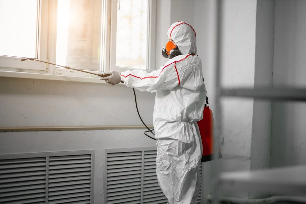 Professional mold remediation services in Casco, WI